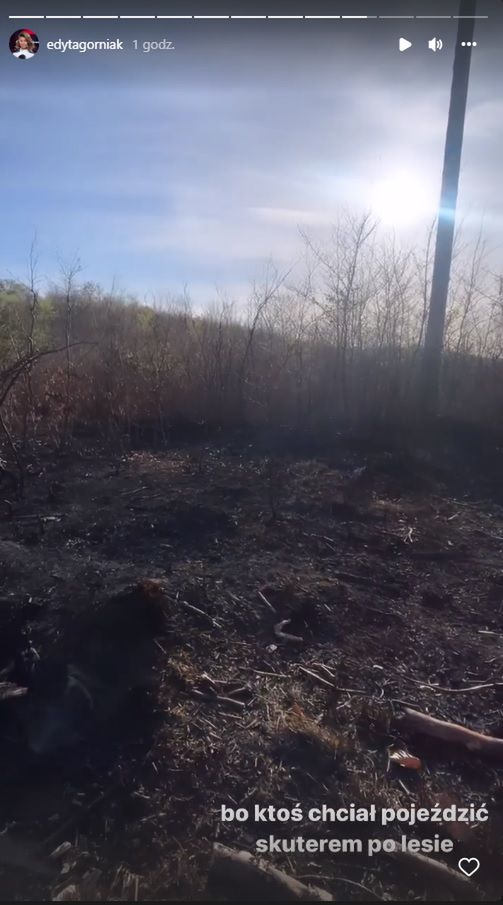Edyta Górniak pokazała spalony las