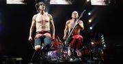 Basista Red Hot Chili Peppers hoduje pszczoły