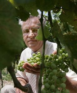 Walory smakowe wina zapisane w genach