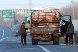Dożywocie za unikanie opłat za przejazd autostradami