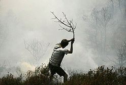 Ogień szaleje w Grecji