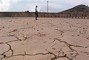 Bank Światowy ostrzega przed kataklizmem klimatycznym