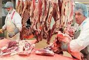 200 przypadków obecności koniny w mięsie wołowym