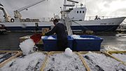 Islandia jest prawie gotowa do wejścia do UE