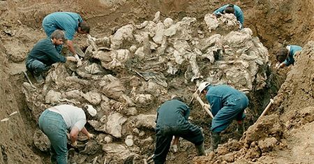 Zniszczyli dokumenty ws. masakry w Srebrenicy?
