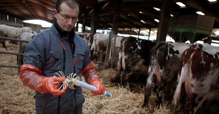 100 tys. zł dla młodego rolnika