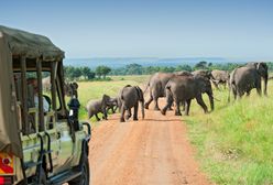 Masai Mara – Afryka w pigułce