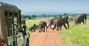 Masai Mara – Afryka w pigułce