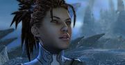 Blizzard pozywa oszustów odpowiedzialnych za nielegalny mod do StarCrafta 2