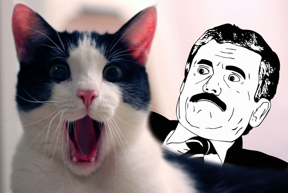 Chcesz namieszać ludziom w głowach? Spróbuj tego