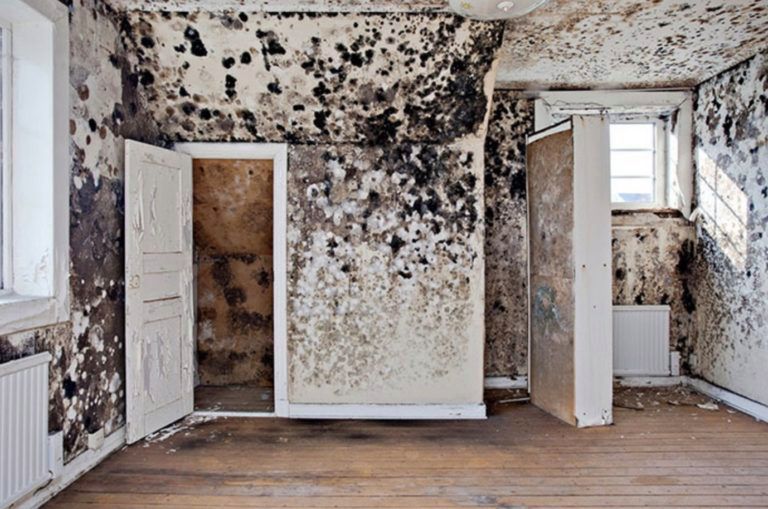 terriblerealestateagentphotos.com