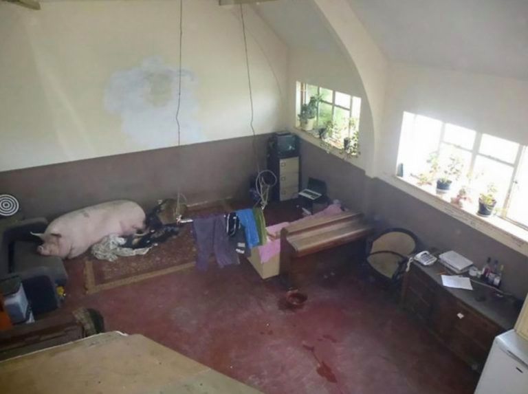 terriblerealestateagentphotos.com