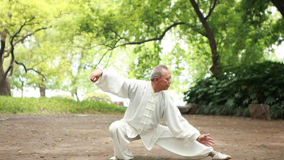 Kung fu to sztuki walki wywodzące się z Chin.