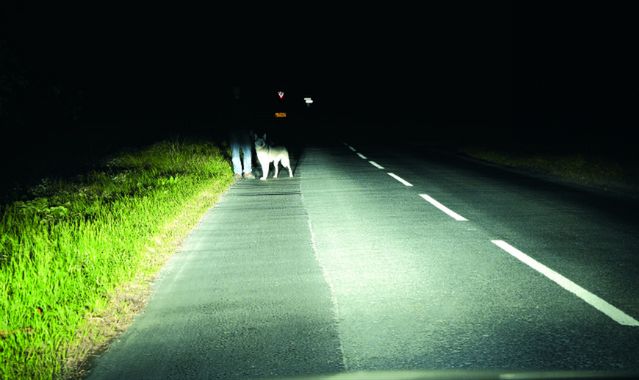 Test reflektorów agencji IIHS. Porażka klasy wyższej.