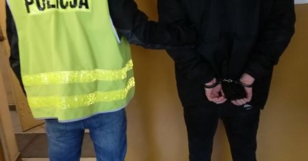 OFEROWAŁ DO WYNAJĘCIA „WIRTUALNE” DOMKI I APARTAMENTY. POLICJANCI ZATRZYMALI OSZUSTA