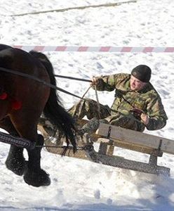 Odszkodowania za zwierzęta zarekwirowane przed wojną
