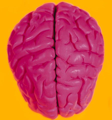 Gen starzenia się mózgu i oka