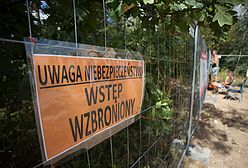 Poszukiwania "złotego pociągu"