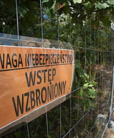 Poszukiwania "złotego pociągu"