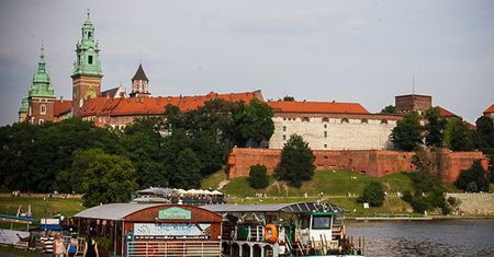 Więcej zieleni w Krakowie