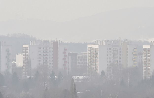 Życie ze smogiem