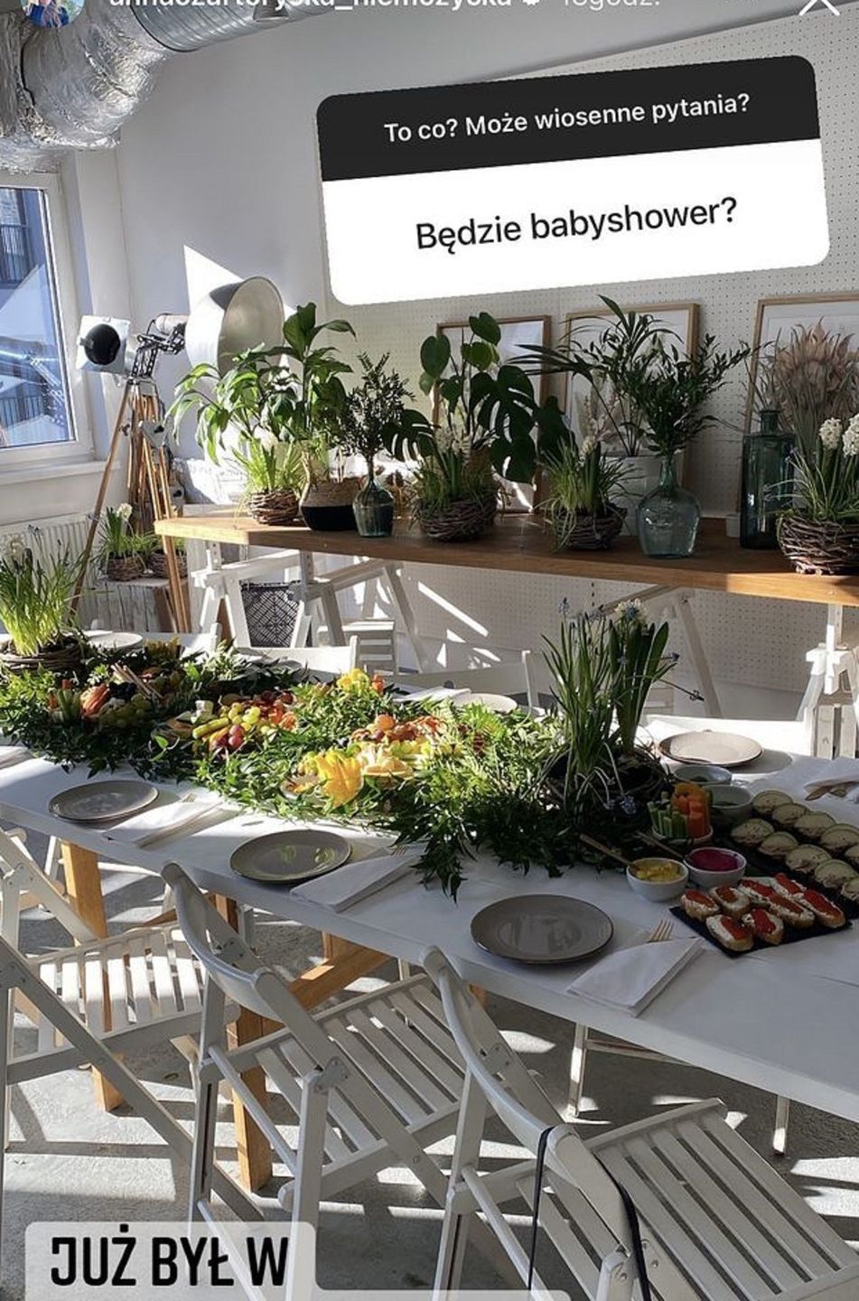 Anna Czartoryska - Niemczycka - baby shower
