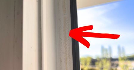 Wytrzyj tym ramę okienną, a klej po moskitierze zniknie. To skuteczny sposób