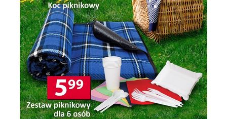 Rodzinny piknik