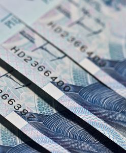 Tomasz Janik: "Najwspanialsza kasta" kradnie, bo może? Ani nie kradnie, ani nie może