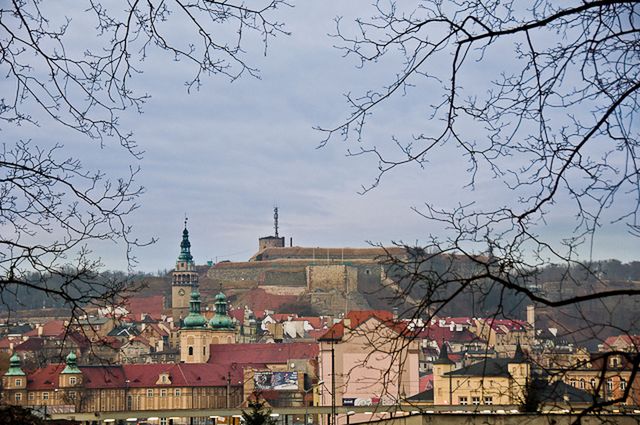 Obraz