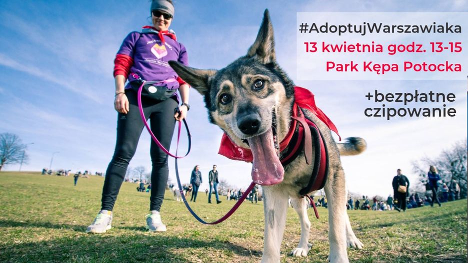 Miłośnicy czterech łap spotkają się 13 kwietnia w parku Kępa Potocka