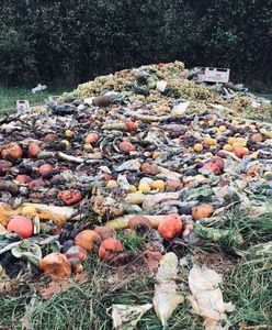 Z łąki urządzili wysypisko. Smród i bałagan, do którego nikt się nie przyznaje