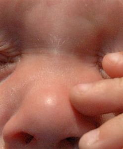 Bądź grzeczny, bo ci włosy wydrę!