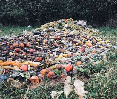 Z łąki urządzili wysypisko. Smród i bałagan, do którego nikt się nie przyznaje