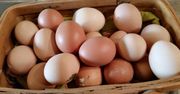 Tak sprawdzisz, czy jajko jest świeże. Potrzebujesz tylko swojego telefonu