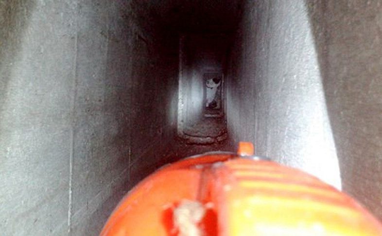 Wykuli dziurę w ścianie, by ratować kota