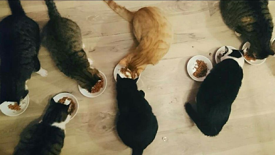 "Nienawistna 9-tka" jednego z naszych czytelników