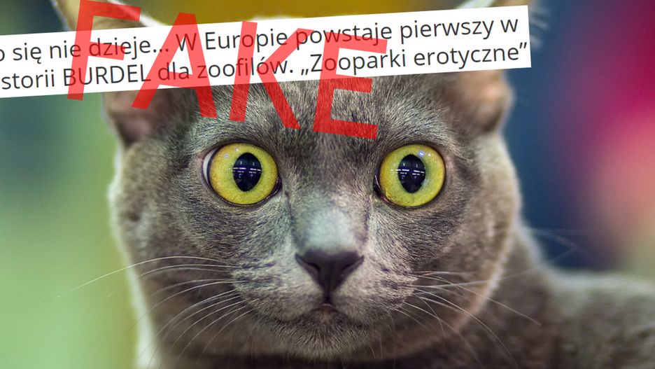 Informacja o domu publicznym ze zwierzętami co kilka miesięcy podbija internet.