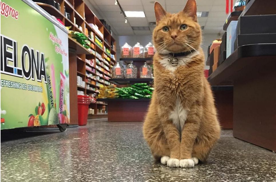 Pracuje w sklepie od 9 lat. Nigdy nie wziął wolnego