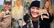 Gwiazdy świętują Dzień Kota i chwalą się swoimi pupilami. Tyle słodyczy na raz dawno nie widzieliśmy