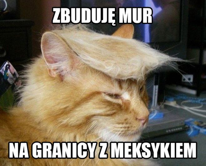 Jak Trump