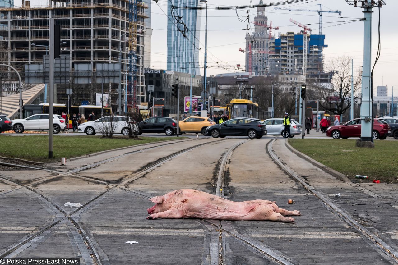 "Money. To się liczy". Kolejny protest rolników. Gościem szef AGROunii