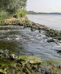 Szczęśniak: "Awaria Czajki spadła PiS-owi jak z nieba. Jeśli nie toczy się żadna wojna, to ją wywołaj i ocal ludzi przed wrogiem" [OPINIA]