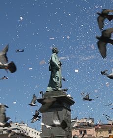 Milion listów spadło z nieba