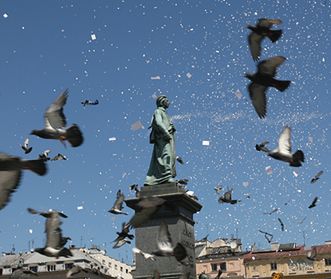 Milion listów spadło z nieba