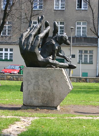 Obraz