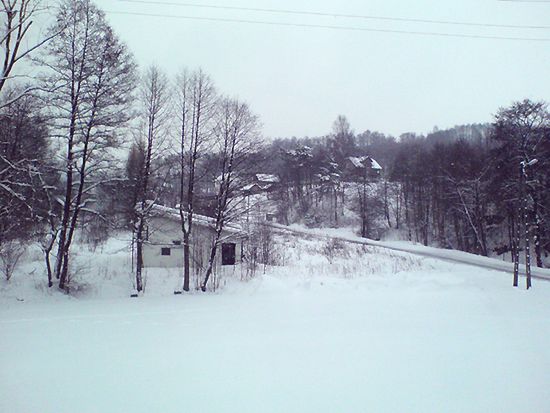 Obraz