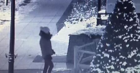 W żłobie leży… Niecodzienna interwencja w Wyszkowie