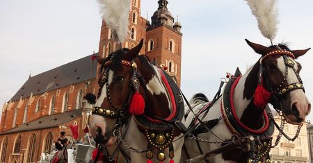 Kraków. Koniec dramatu koni na rynku. Zamknięto postój