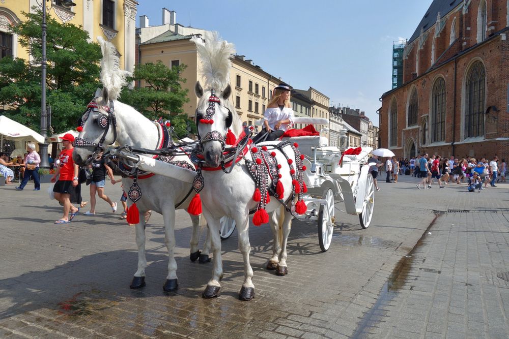 Kraków. Pogoda na dziś. Czy w czwartek będzie padał deszcz?